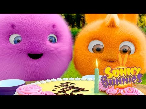 Videos For Kids | BUNNY BIRTHDAY | SUNNY BUNNIES | Funny Videos For Kids