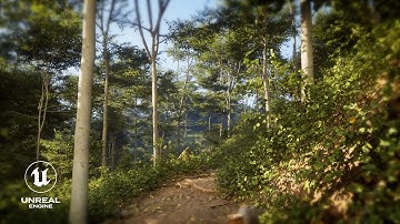 Cinematic Forest Scene | Unreal Engine 5 [4K]