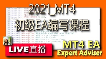 013.编写开始...b s obs obl oss osl.|2021_mt4_学习编写ea课程|热身准备.基础知识|mql4 | mql | mq4|