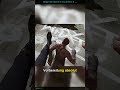 Schnappt euch Dishonored 2 völlig kostenlos am 13. Mai
