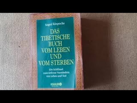 Video: 19 berühmte Schauspieler, die schon in den Fünfzigern sind, obwohl es kaum zu glauben ist