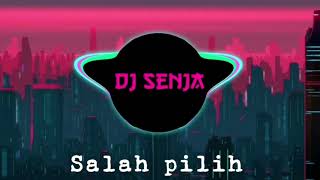 Download Mp3 DJ Remix Slow  Salah Pilih Ali Gangga 2023 Gudang lagu Download Mp3 DJ Remix Slow  Salah Pilih Ali Gangga 2023