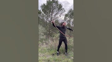 Thumbnail of Látigo