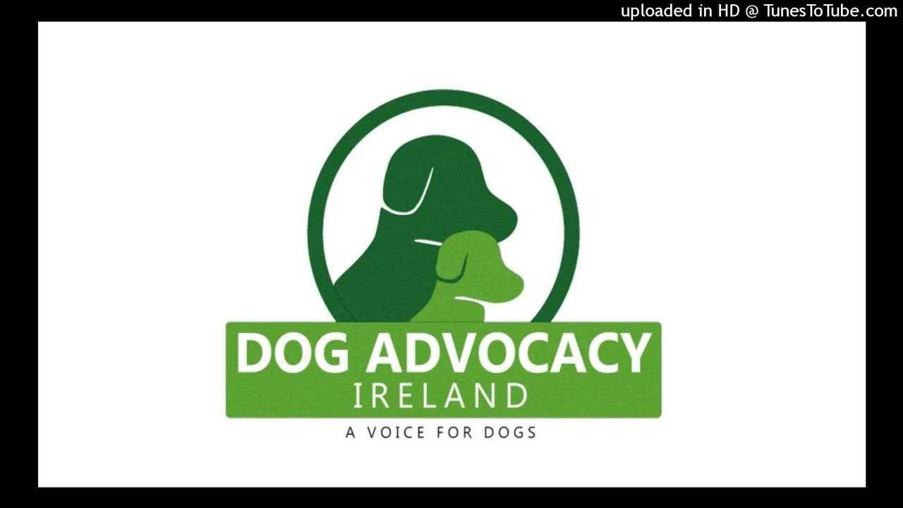 Dog Advocacy Ireland Update Including On Big EU Plans For Dog And Dog Advocacy Ireland Update Including On Big EU Plans For Dog And