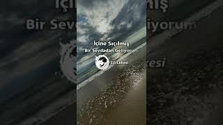 Tilkiyi Aslan Ettim - Şiir Lekesi