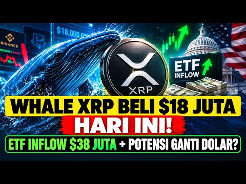 WHALE XRP BELI $18 JUTA HARI INI! ETF INFLOW $38 JUTA + POTENSI GANTI DOLAR?
