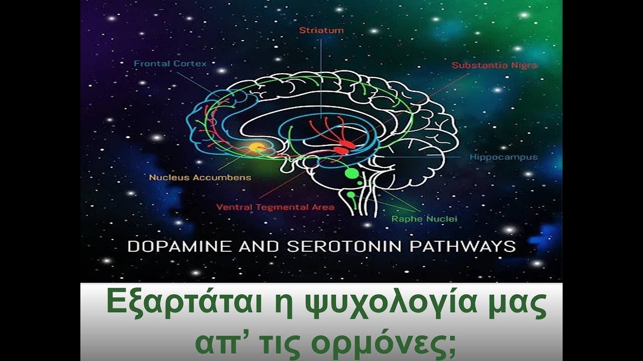 Εξαρτάται η ψυχολογία μας απ' τις ορμόνες; Dr Γιάννης Βελίκης