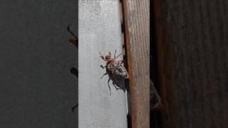 Me Getting Up In The Morning To Go To Work