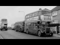 Buses in Black and White