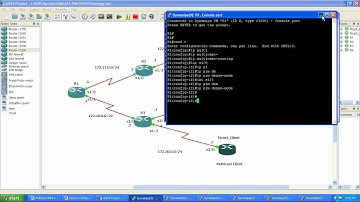 multicast PIM dense mode config