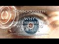 Consciousness – Why Our Eyes are the Windows to Our Soul