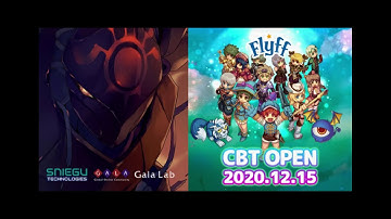 Flyff Project M | The last 5 minutes and the last day before close CBT ! | Video souvenir