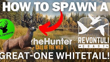 SPAWN a Whitetail GREAT ONE in Revontuli Coast - Call of The Wild