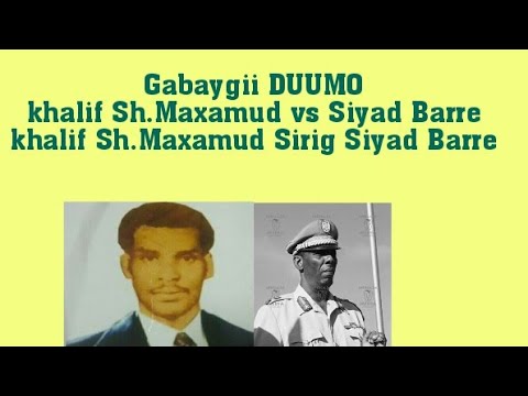 Kamenskda jinsiy aloqa