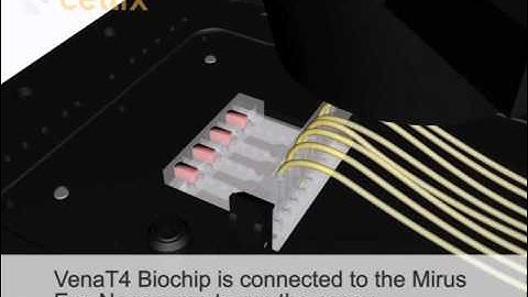 VenaT4 Biochip: Chemotaxis, Transmigration and Invasion Assays