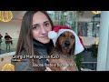 Che sia, soprattutto, Natale! | RSI Info