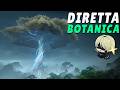 [LIVE] Reset Settimanale + Commento Botanico Atto X dell'ARCHON QUEST 6.6 di Genshin Impact!