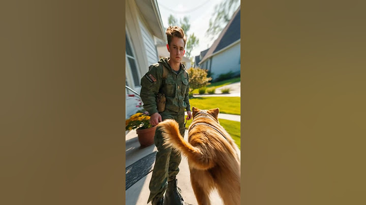 Loyal Dog Waits 3 Years for His Soldier 🐾💙 | Heartwarming Reunion Story #shorts #doglover