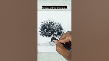 Charcoal tree drawing..#drawing #charcoaldrawing #painting #tree #landscape #shorts