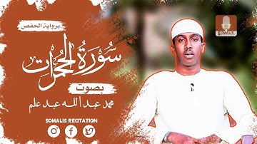 سورة الحجرات بصوت محمد عبدالله عبد علم || Surah Al Hujurat Muhammad Abdullah Abdul ElmI