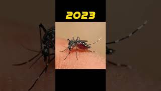 mosquito  2023 vs 50000 bce(((mythic fiction world)))#shortvideo