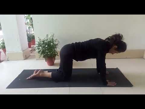 exercises for lower body toning Exercises in box position#lowerbodyexercises#hipandthighexercises