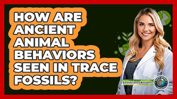 How Are Ancient Animal Behaviors Seen In Trace Fossils? - Earth Science Answers