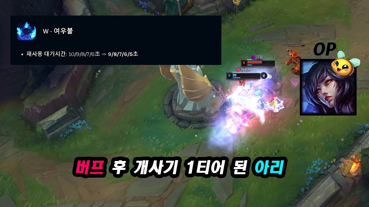 버프 후 챌린저 구간 박살 내면서 미쳐 날뛰는 아리