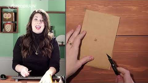 Robot Petting Zoo Lesson 2