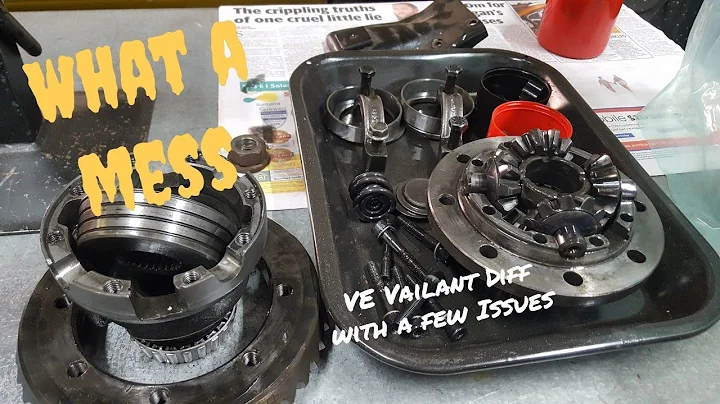 VE Valiant Diff with a few Problems