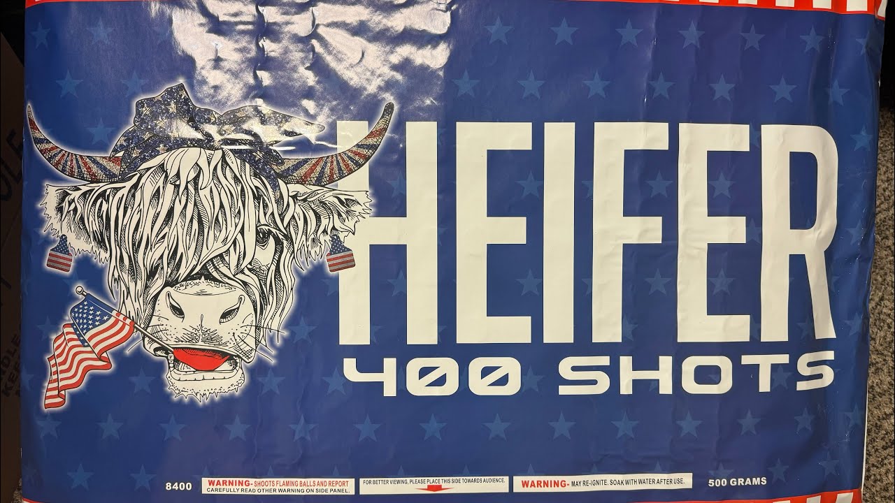Heifer 400 shot! YouTube