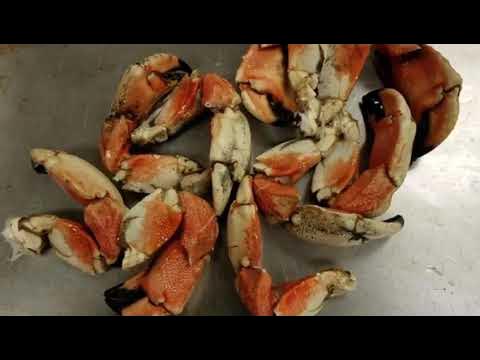 How to cook Jonah crab Claws - YouTube
