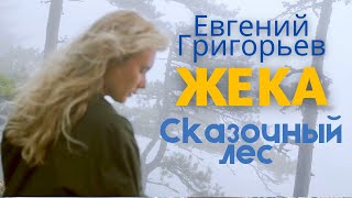 Жека - Евгений Григорьев - Сказочный Лес (Lyric-Video)