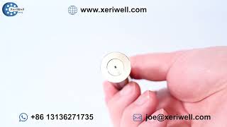 REXROTH A10VO45 Hydraulic Pump Spare Parts Piston Shoe｜gear pump low pressure｜gear pump under vacuum