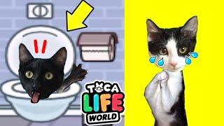 Gato se escapa por el baño en Toca Boca Life World en español / Videos de gatos Luna y Estrella