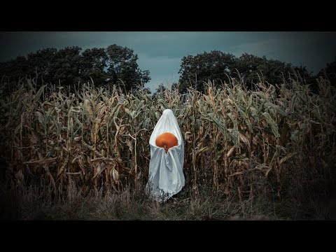 3 TRUE Disturbing Fall Horror Stories