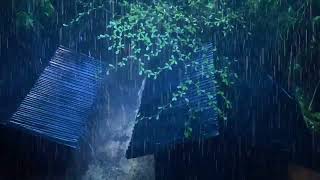 Beat Insomnia with Night Hurricane, Heavy Rain on Tin Roof & Massive Thunder | Thunderstorm 1 Hours