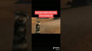 Когда у шёл после 9-ого класса