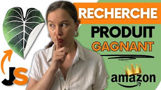 Recherche Produit Gagnant A Vendre Sur Amazon Fba - Formation Jungle Scout