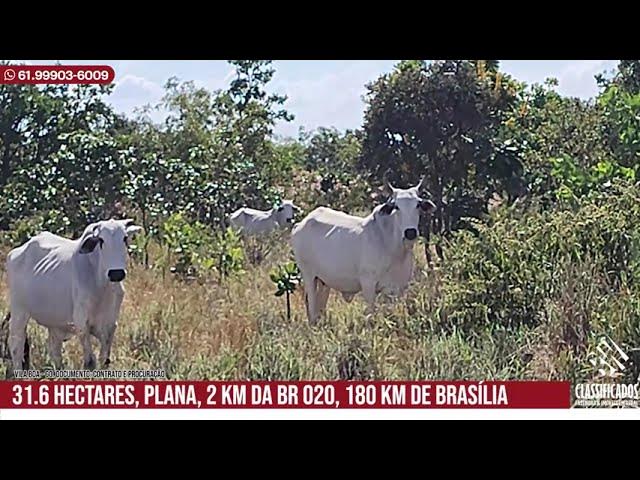 R$ 390 mil. 25 hectares, 100% plana, próximo ao rio urucuia, 24 km de  Buritis-MG, 240 do DF 