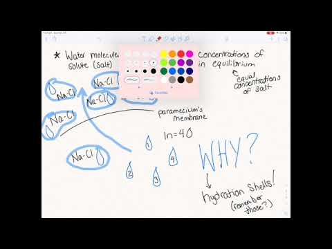 Paramecia and Contractile Vacuoles