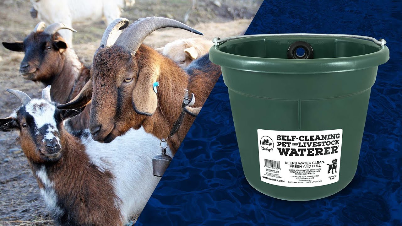 Cowboy's Self-Cleaning, Automatic Pet & Livestock Waterer - Short Demo