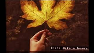 Aksin Huseyni Yeni Sevgi Seiri