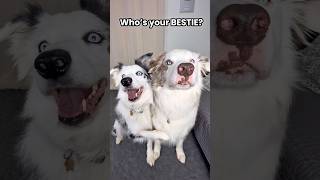 Who’s your bestie?