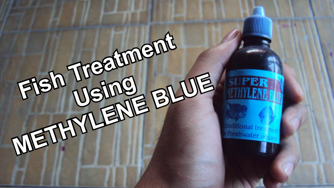 methylene blue aquarium