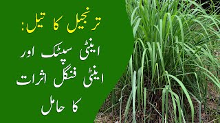 Citronella Oil Uses & Benefits Chiltanpure