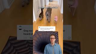 Is This Optical Illusion Ai?