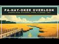 Pa-hay-okee Overlook: The River of Grass You Can't See Moving | Everglades, Florida Hike + History