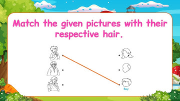 Pre-Primer EVS Lesson | Every Page Explained for Kids | evs for kids |Match pictures with their hair