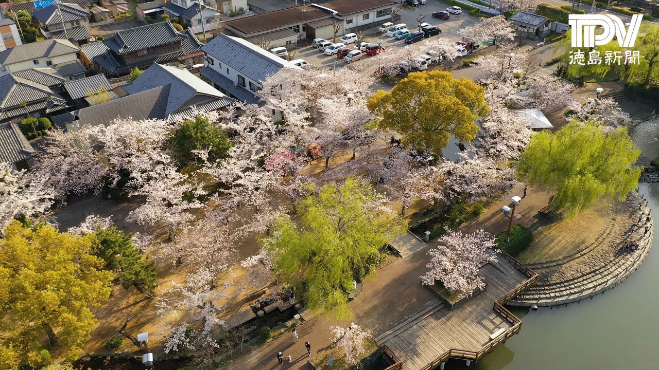 江川 鴨島 公園